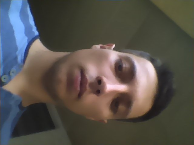 foto del traduttore