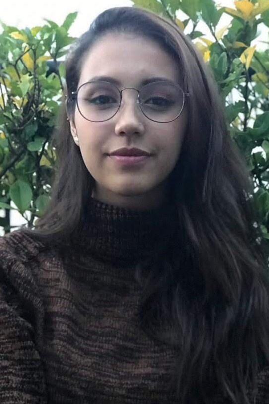 translator photo