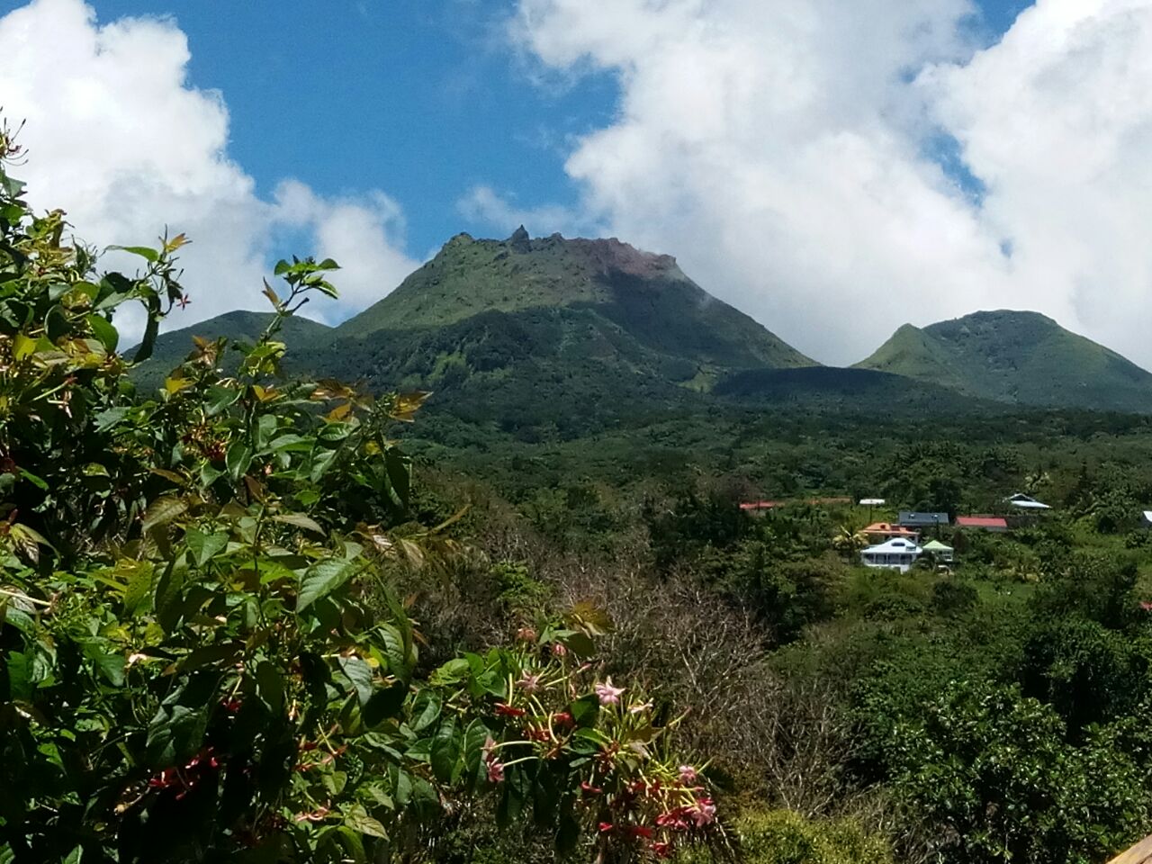 foto del traduttore