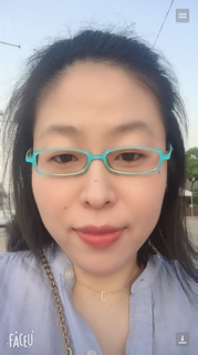 translator photo